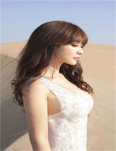 《百姓的味道-秘密女搜查官系列》